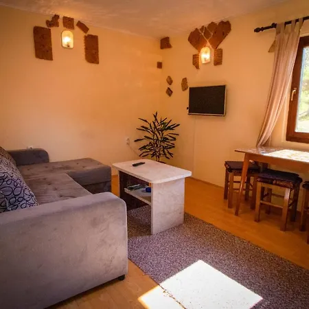Vidra Holiday home